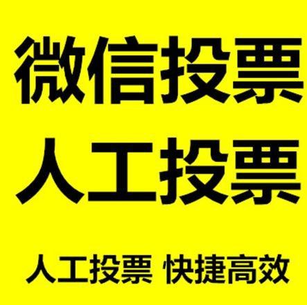 宁夏小程序人工投票是真的还是假的？